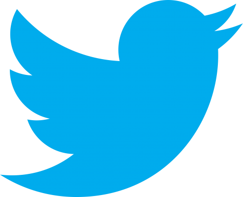 twitter-logo-493x400  